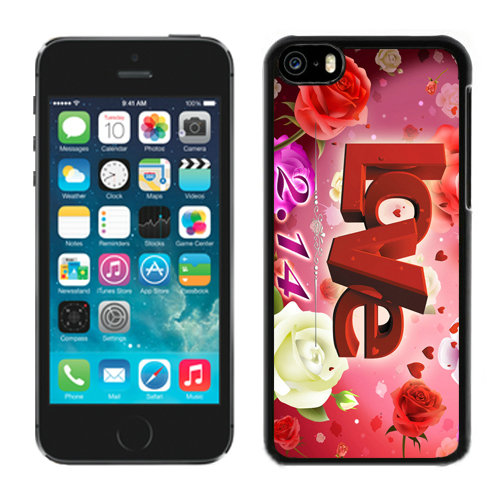 Valentine Love iPhone 5C Cases CNT
